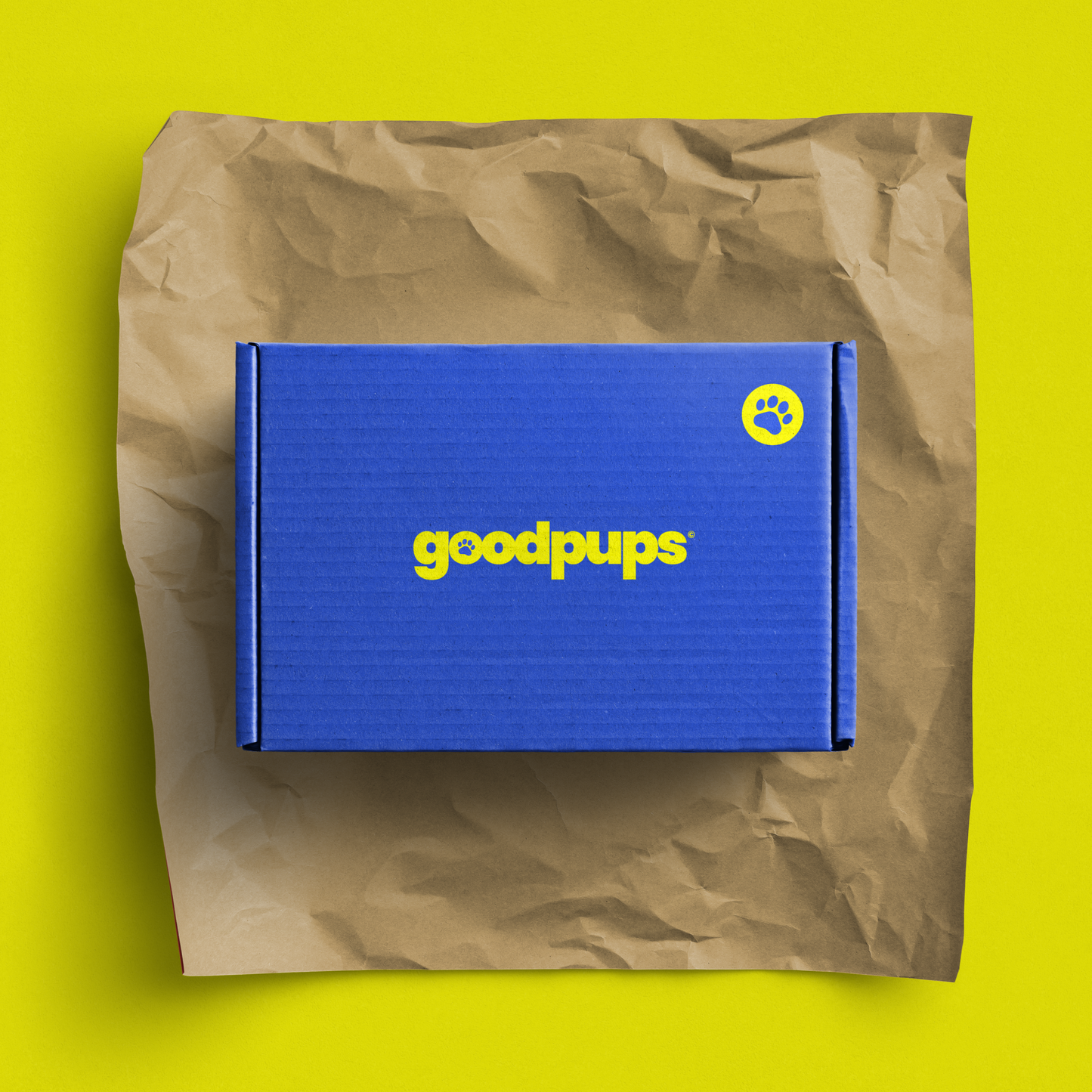 Mystery Treatz Box by Goodpups