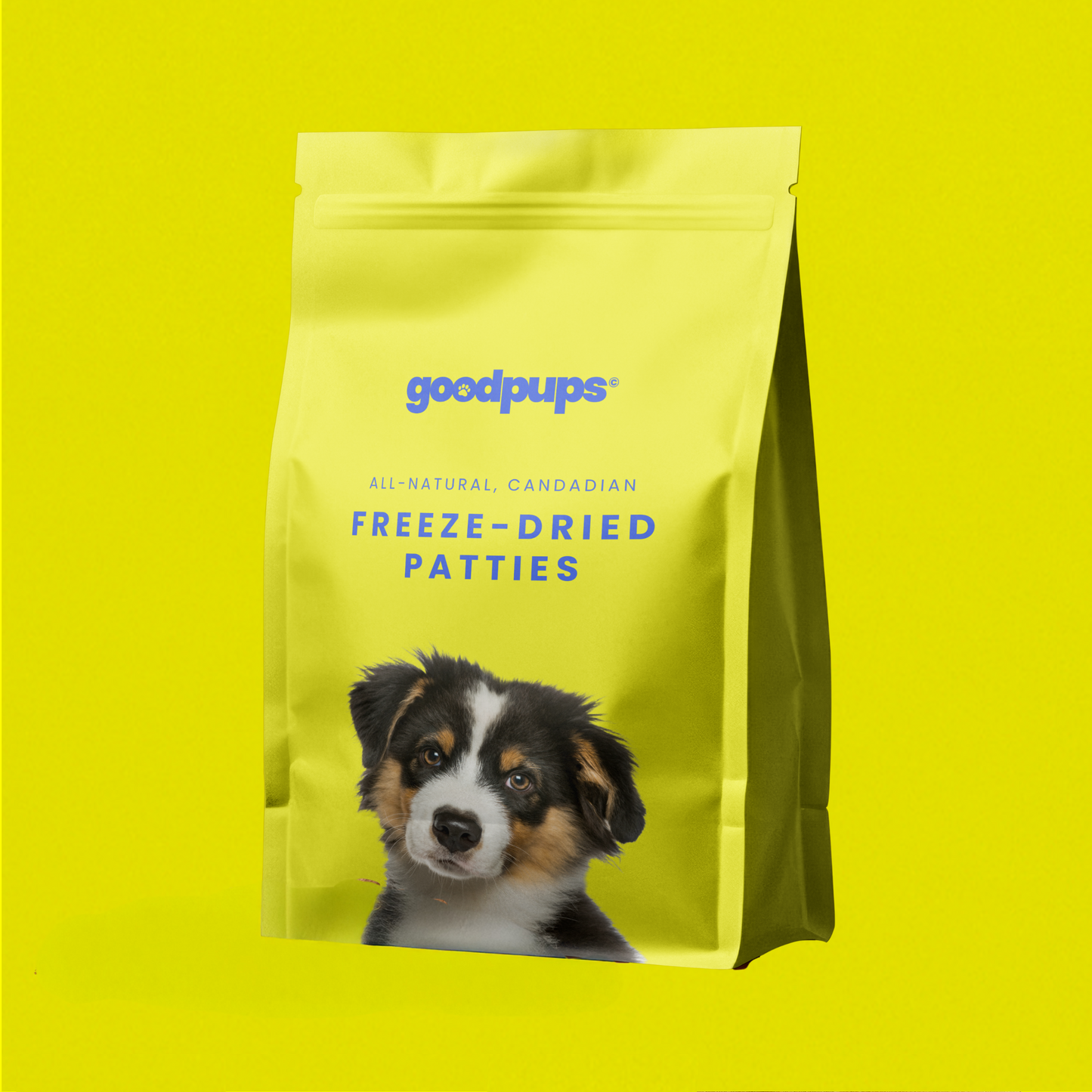 Freeze-Dried Patties by Goodpups