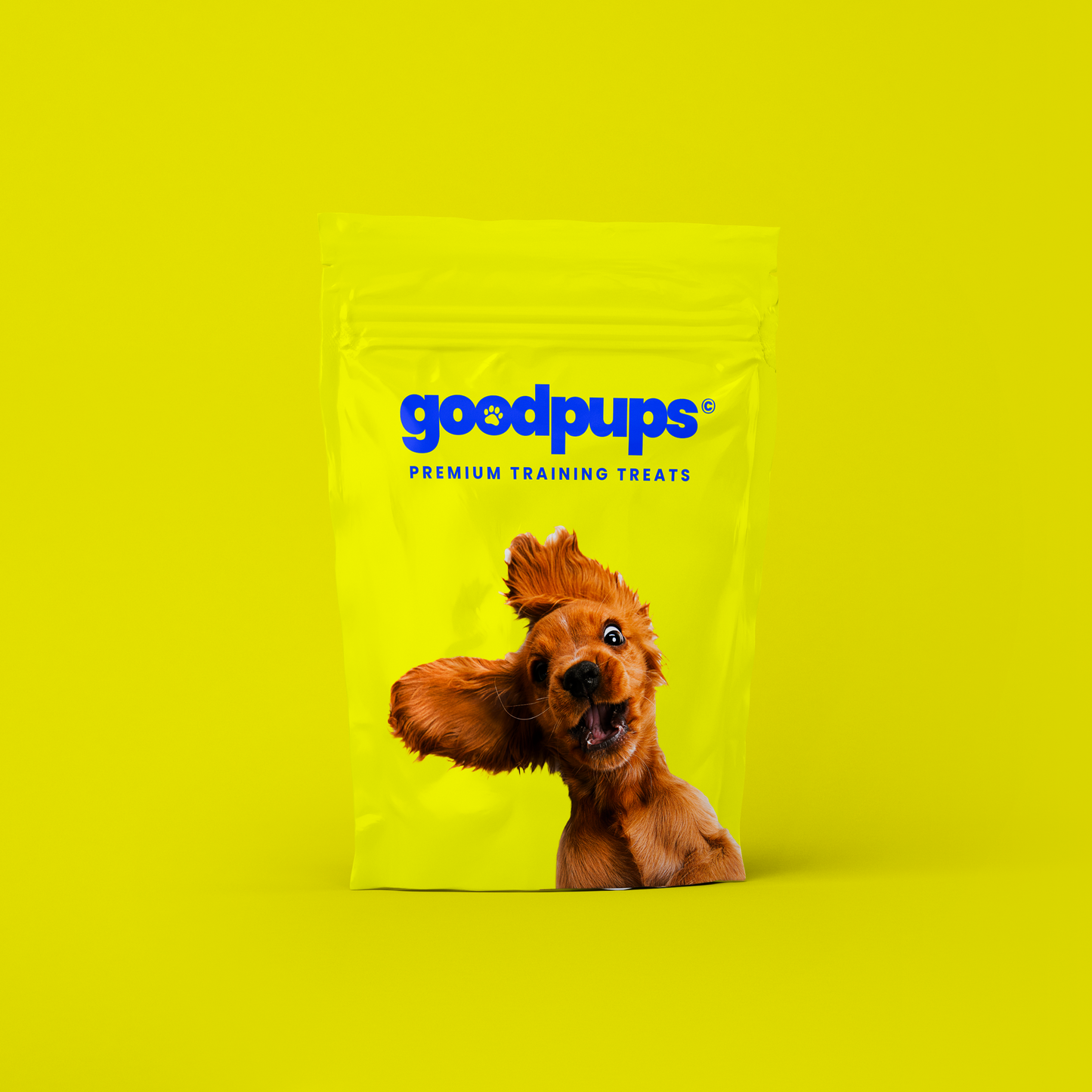 Training Treats by Goodpups