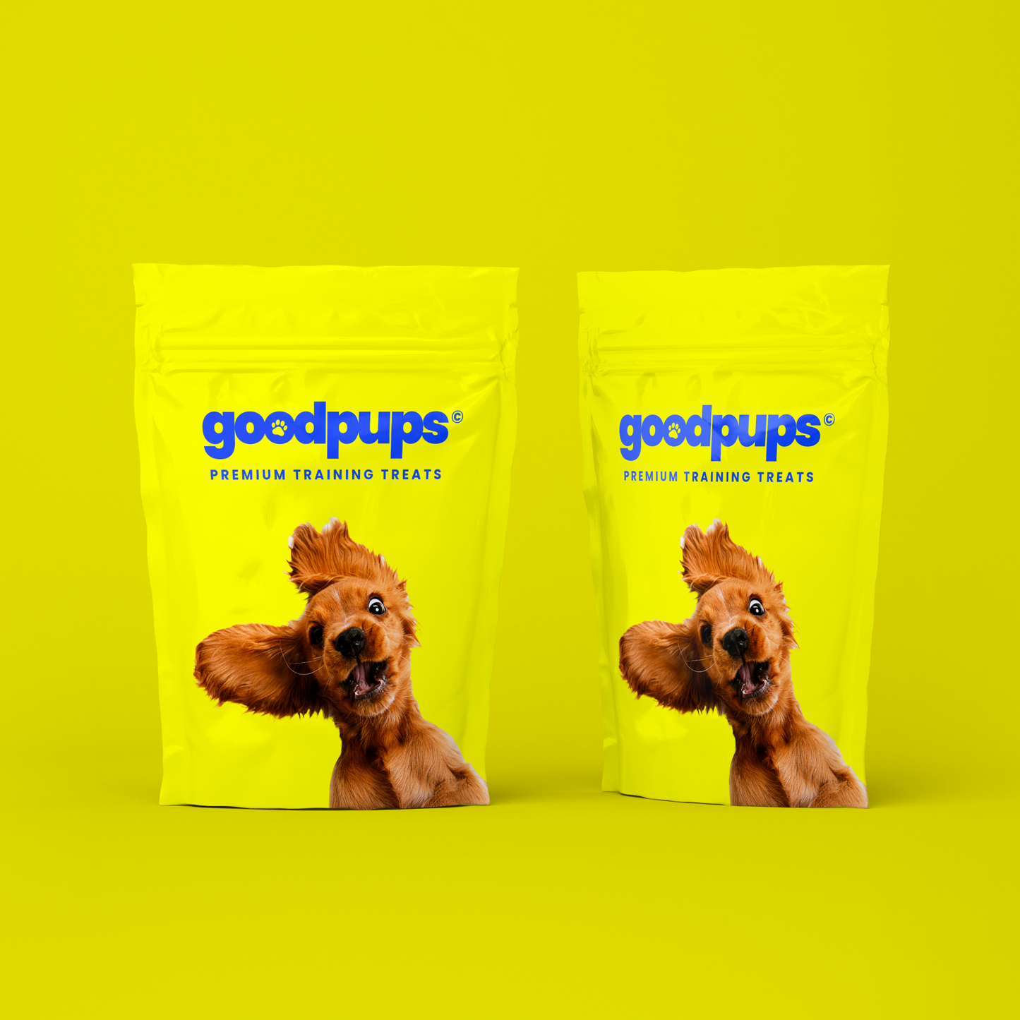 Training Treats by Goodpups
