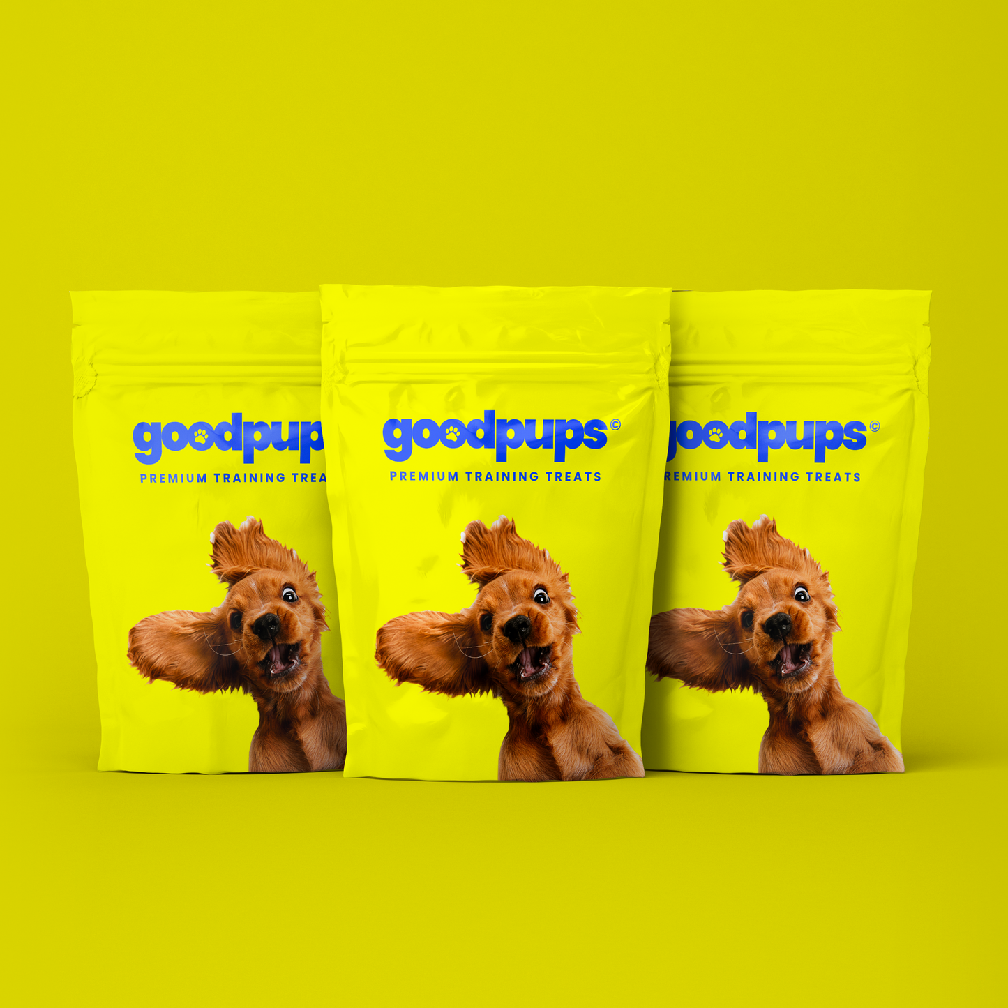 Training Treats by Goodpups